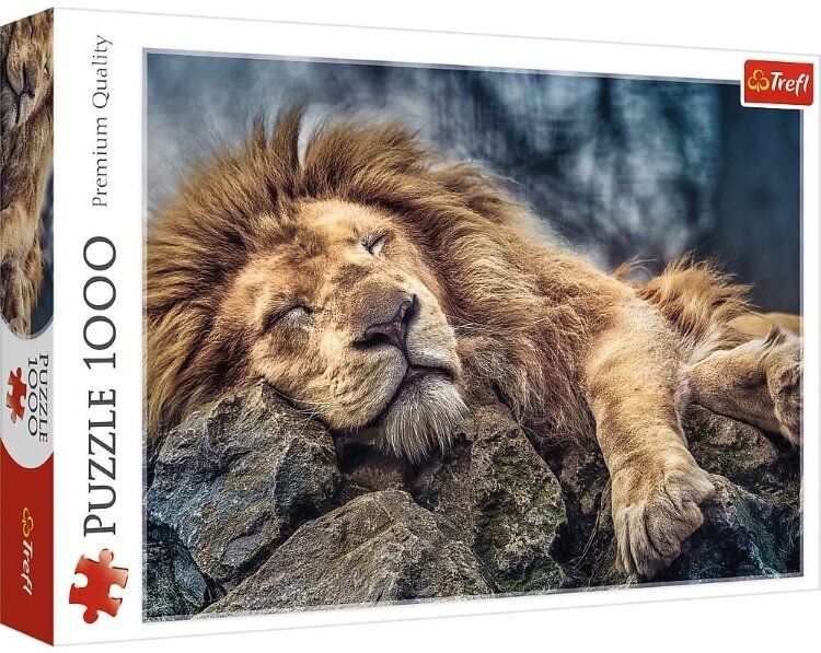 RC León durmiendo 1000p. Trefl
